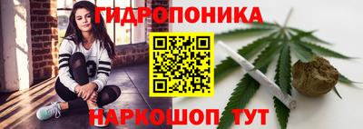 гидропоника Партизанск